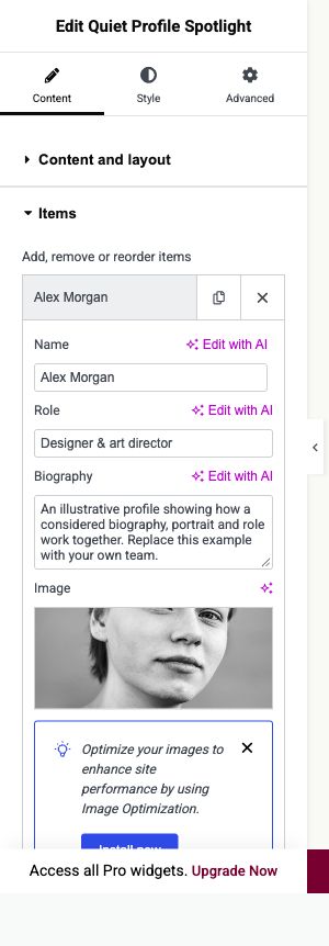 Elementor settings: Content → Items